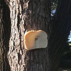 Meet your Posher, Dylan